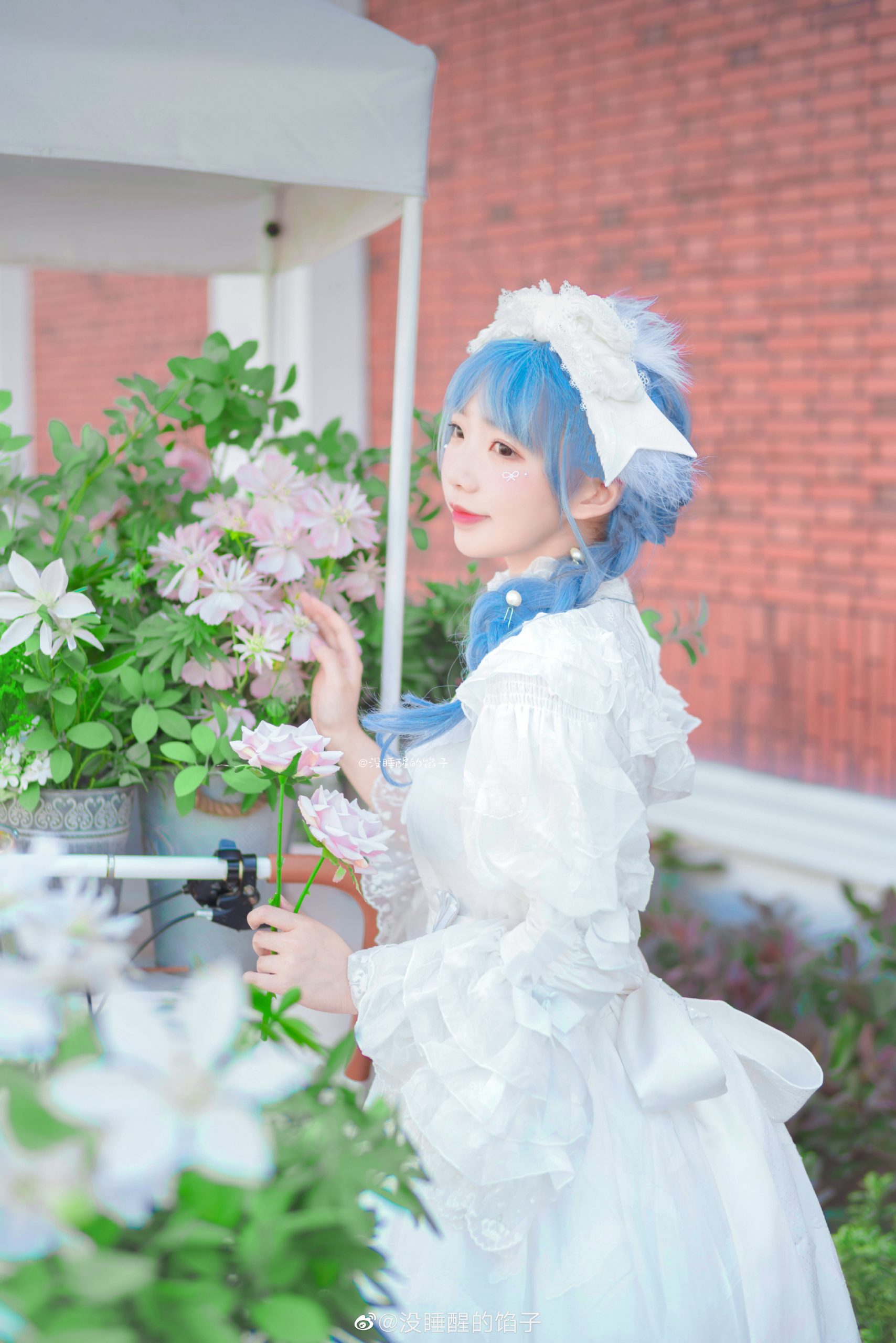 lolita 就当花末开过 你没来过 等你杳无音信 我再去爱世间万@没睡醒的馅子-米哈社