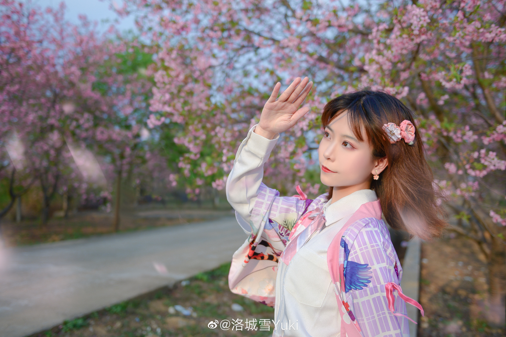 樱花浪漫之时，梦想盛开之日@洛城雪Yuki-米哈社