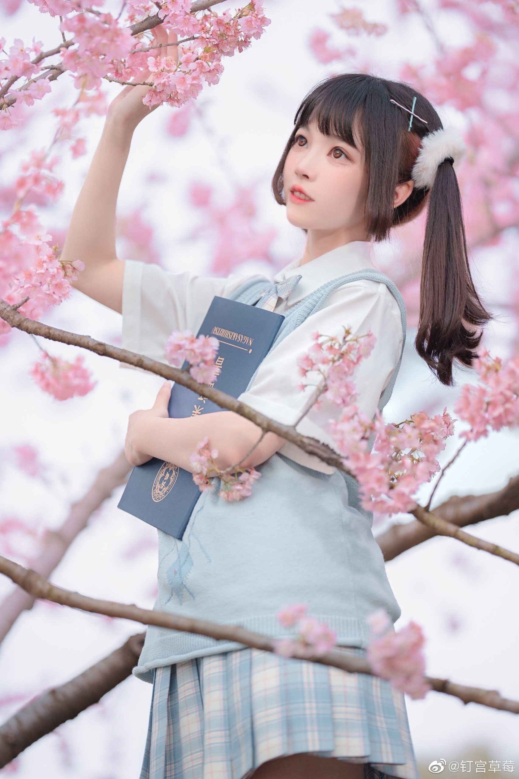 【JK日常】 樱花樱花想见你～@钉宫草莓-米哈社